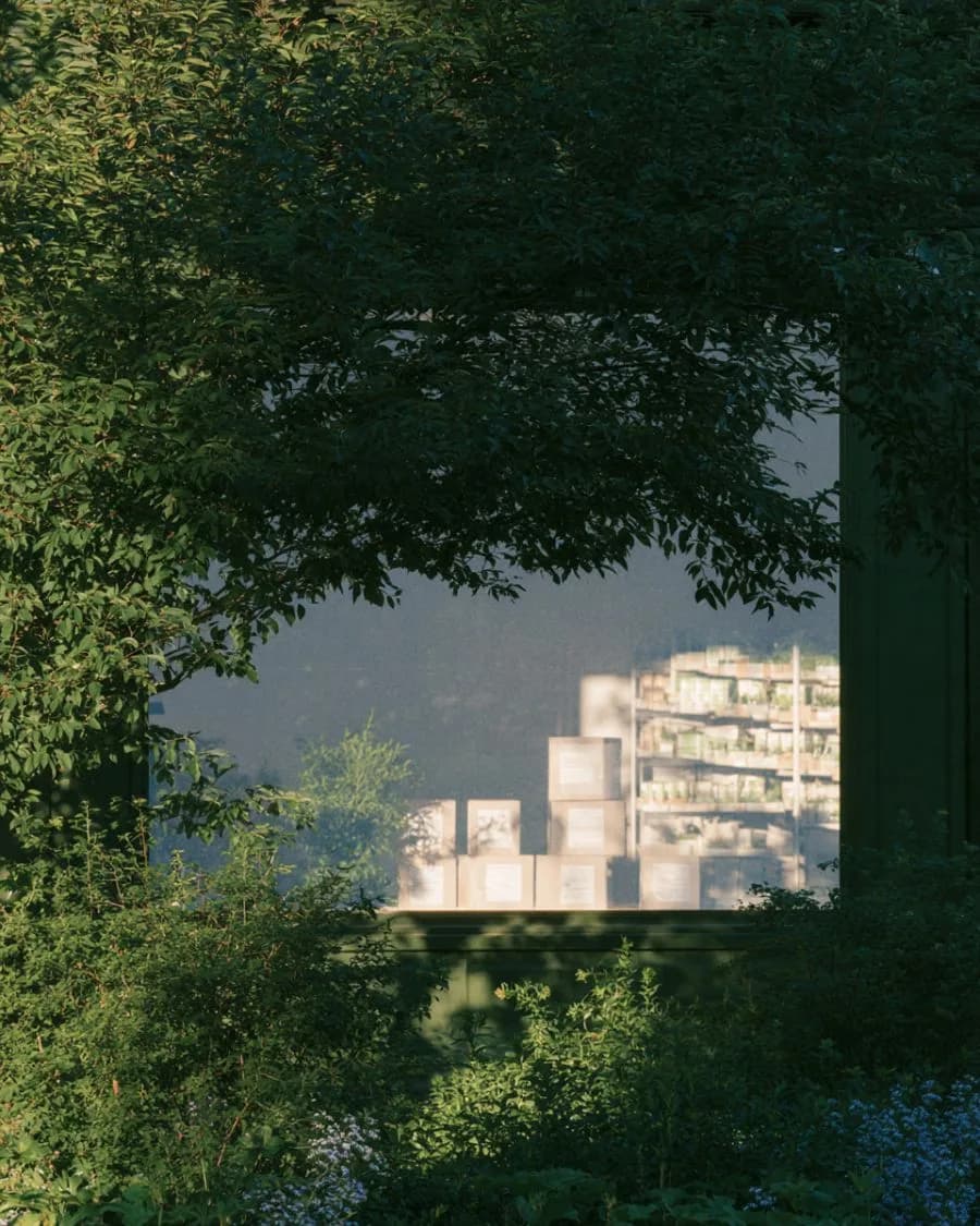 Boxes stacked inside a shop window framed by greenery